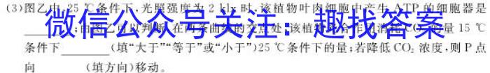 四川省泸州市四校联盟2024年高二下学期第一次联合考试数学