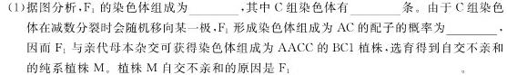 安徽省太和中学高一下学期第四次教学质量检测(241924Z)生物