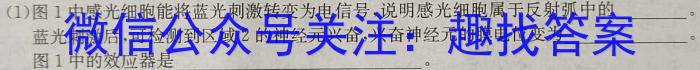 衡水金卷先享题·月考卷 2023-2024学年度上学期高二年级期末考试生物学试题答案