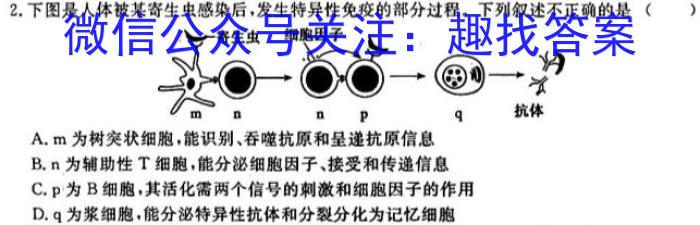 安徽省安师联盟2024年中考权威预测模拟试卷（四）生物学试题答案