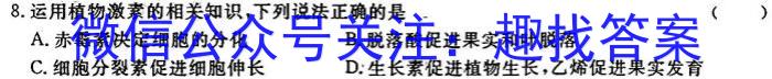 吉林省吉林七中教育集团2024-2025学年度上学期阶段测试八年级开学考试数学