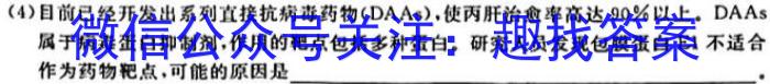 天一大联考2023-2024学年高一年级阶段性测试(三)数学