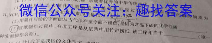 2024年河北省初中毕业生升学文化课模拟测评（八）化学