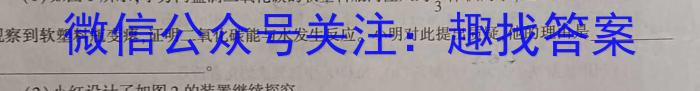 武汉市部分重点中学2023-2024学年度高二上学期期末联考数学