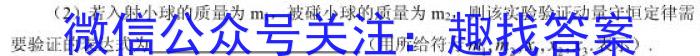 2024届河南省中考导向总复习试卷-中考模拟试卷(二)物理试卷答案