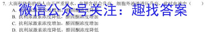 江西省2024年初中学业水平考试冲刺(二)2数学