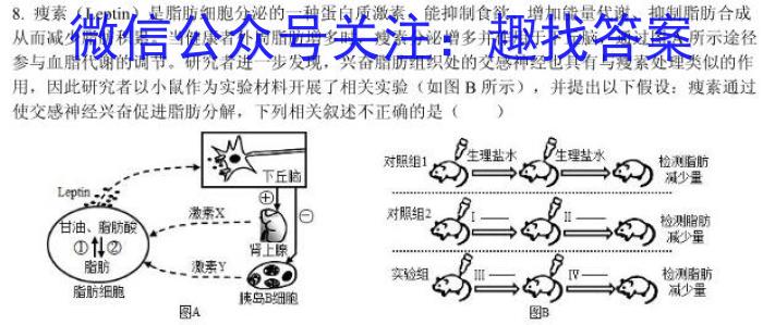 K12重庆市2023-2024学年度下学期九年级第三阶段质量检测数学