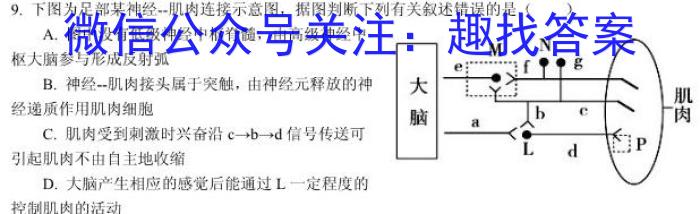 ［南京一模］南京市2024届高三年级第一次模拟考试数学