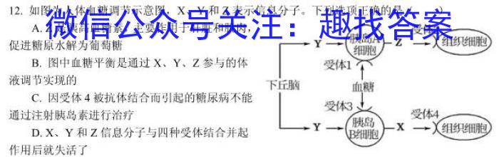 新高考联考协作体 湖北省2024年春季高一期末考试(7月)生物学试题答案