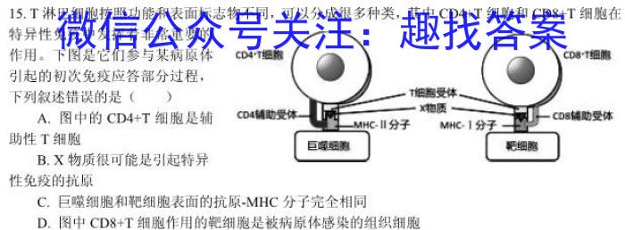 2024届高三第二次学业质量评价(T8联考)英语