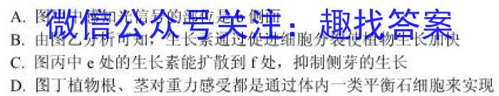 河南省南召县2024年春期九年级开学摸底练习数学