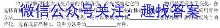 濮阳市2023-2024学年高三第三次模拟考试数学