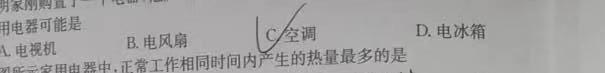 [今日更新]真题密卷2024年普通高等学校招生全国统一考试模拟试题(一).物理试卷答案