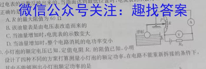 江西省2024年初中学业水平考试模拟(九)9物理试题答案