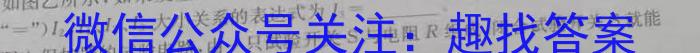 2024年春季鄂东南省级示范高中教育教学改革联盟学校高三期中联考h物理