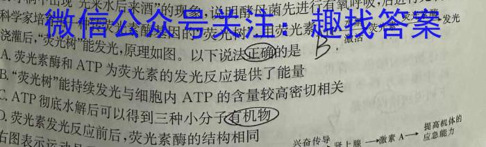 2024年陕西省初中学业水平考试仿真卷(五)5数学