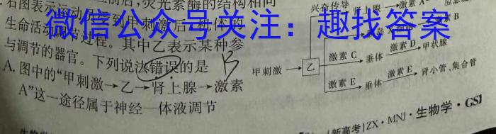 江西省2023-2024学年度下学期高一期末考试(241934Z)生物学试题答案