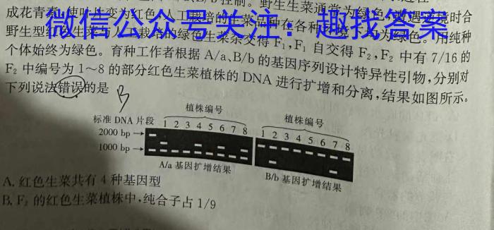 四川省内江市高中2025届零模试题数学