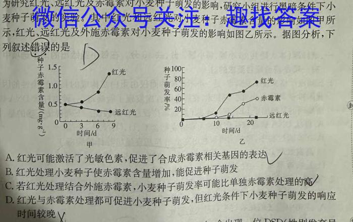 赢战高考·2024高考模拟冲刺卷(四)4数学