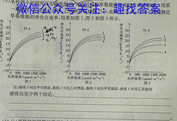 京师测评2024安徽省高三质量联合检测试卷(5.5)数学