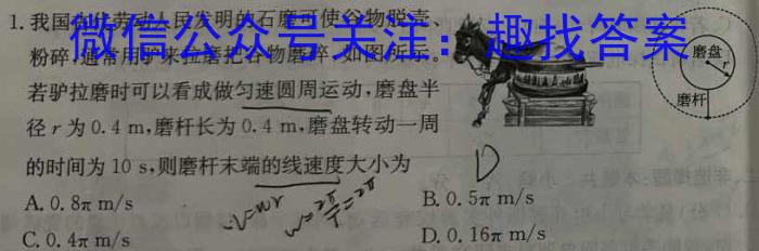 2024괺һĩӦԿ(594A)xԾ