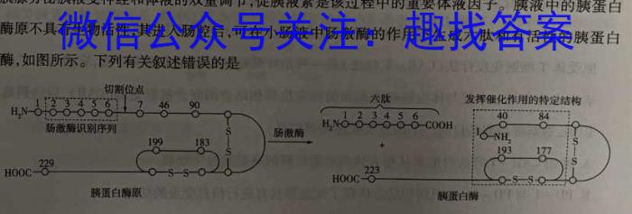 2024届辽宁省高三4月联考(24-472C)生物学试题答案