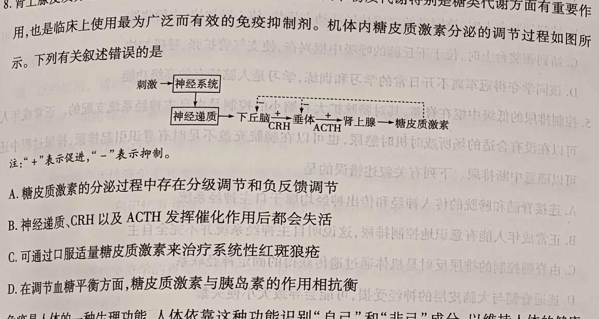 吉林省扶余市睿博实验高级中学2023~2024高二上学期期末考试(242464D)生物学部分