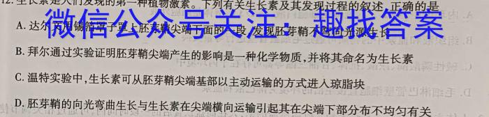 2024年陕西省初中学业水平考试·临考冲刺卷（C）数学