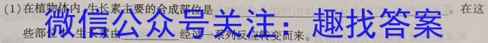 2024年河南省中招考试模拟冲刺卷(四)4数学