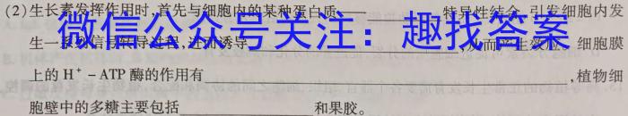 安徽省2024年八年级教学质量检测（4月）数学