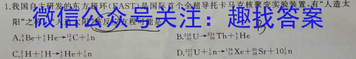 山东名校考试联盟 2024-2025学年高一高二上学期期中检测(2024.11)物理试题答案