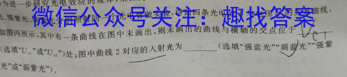 河北省保定市2023-2024学年度第一学期高二期末调研考试物理试卷答案