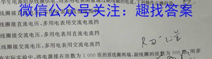 百师联盟·2024届高三信息押题卷（二）新高考卷物理试题答案