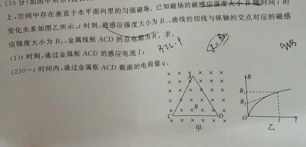 河北省邢台市2024-2025学年第一学期高二年级9月开学考试(物理)试卷答案