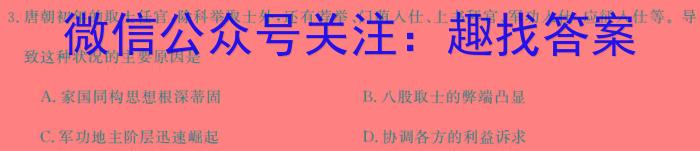 安徽省2024年中考密卷大联考(一)历史试卷答案