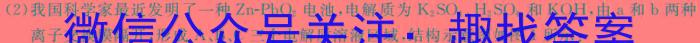 【精品】［万维原创］2024年河北省初中毕业生升学文化课考试模拟卷一化学