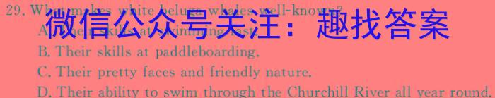 湖北省襄阳市优质高中2024届高三联考英语试卷答案