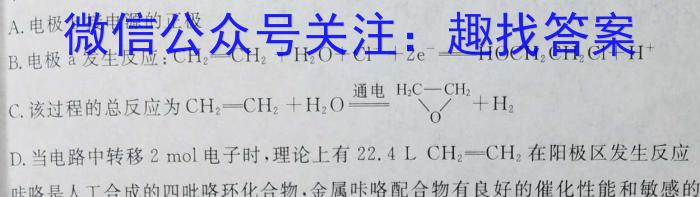 安徽省六安皋城中学2023-2024学年度春学期九年级定时作业一化学