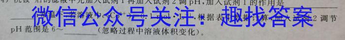 【精品】[万唯中考]2024年河南省普通高中招生考试·万唯原创 模拟卷二化学