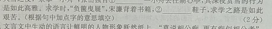 [今日更新]2024届安徽省中考规范总复习(四)4语文试卷答案