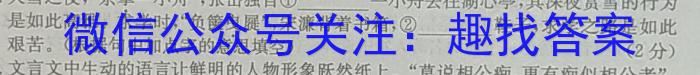 贵州金卷·贵州省普通中学2024年初中学业水平检测模拟卷（一）/语文