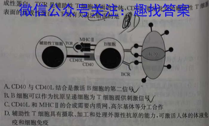 陕西省2024届高三模拟检测试卷（正方形套菱形）生物学试题答案