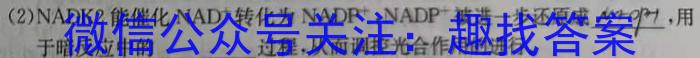 山东省2024年普通高等学校招生全国统一考试测评试题(二)2数学