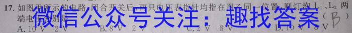 云南省2024~2025学年高二年级教学所量监测卷(一)1物理试卷答案