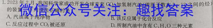 3安徽省临泉2024届九年级1月期末考试化学试题