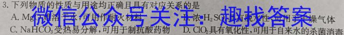 黑龙江省齐齐哈尔市桃李中学2023-2024学年高一下学期期末考试化学