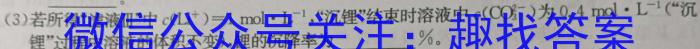 q河北省2023-2024学年第一学期九年级阶段评价（三）化学