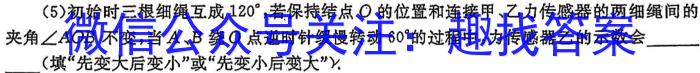 2024年广西示范性高中高二3月调研测试物理`