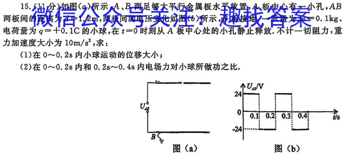 2024年陕西省初中学业水平考试信息卷(A)物理`