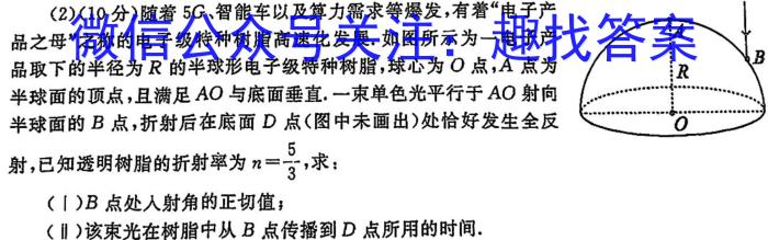 衡水大联考2024届高三年级4月份大联考（新教材）物理试题答案